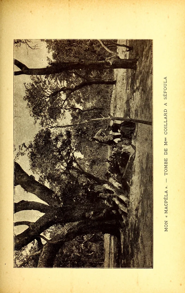 An illustration from Sur le Haut-Zambèze; voyages et travaux de mission, 1899, leaf 535