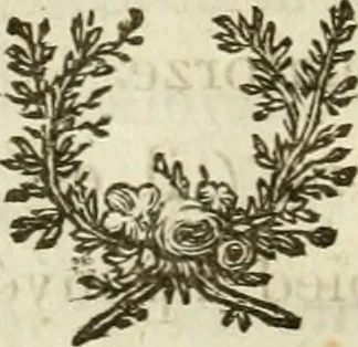 An illustration from Lettres sur l'Italie en 1785, 1788, leaf 193
