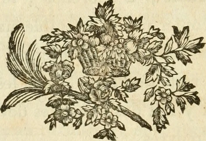 An illustration from Lettres sur l'Italie en 1785, 1788, leaf 209