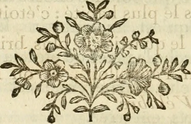 An illustration from Lettres sur l'Italie en 1785, 1788, leaf 245