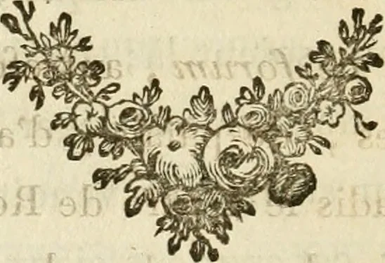 An illustration from Lettres sur l'Italie en 1785, 1788, leaf 249
