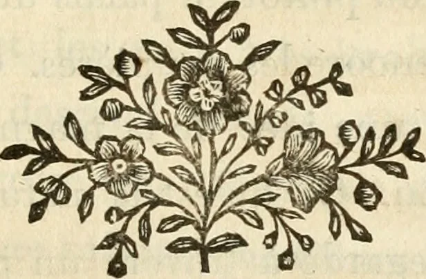 An illustration from Lettres sur l'Italie en 1785, 1788, leaf 44