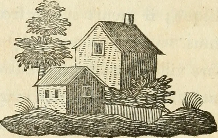 An illustration from Lettres sur l'Italie en 1785, 1788, leaf 469