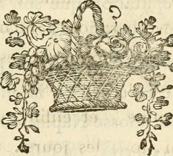 An illustration from Lettres sur l'Italie en 1785, 1788, leaf 502