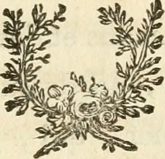 An illustration from Lettres sur l'Italie en 1785, 1788, leaf 518