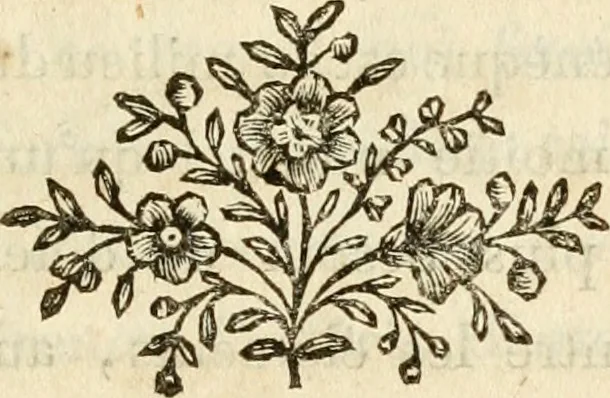 An illustration from Lettres sur l'Italie en 1785, 1788, leaf 58