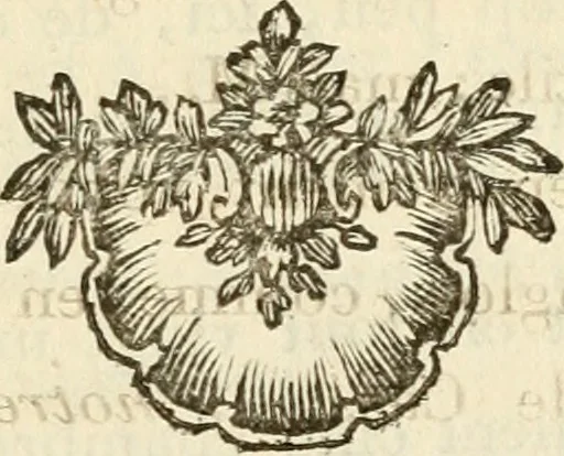 An illustration from Lettres sur l'Italie en 1785, 1788, leaf 582