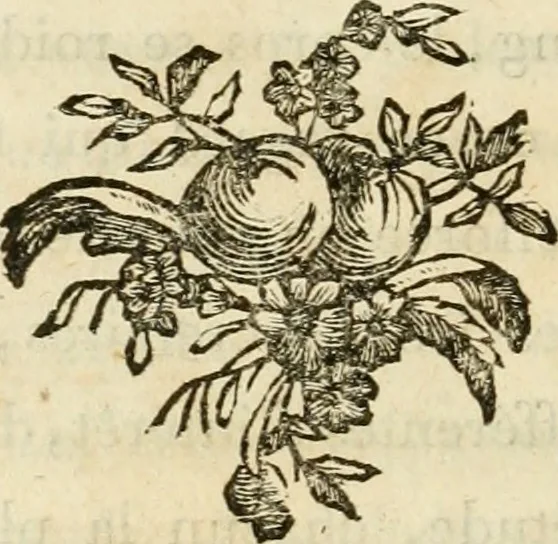 An illustration from Lettres sur l'Italie en 1785, 1788, leaf 61
