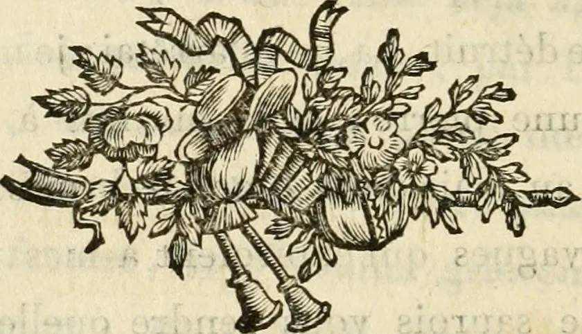 An illustration from Lettres sur l'Italie en 1785, 1788, leaf 611