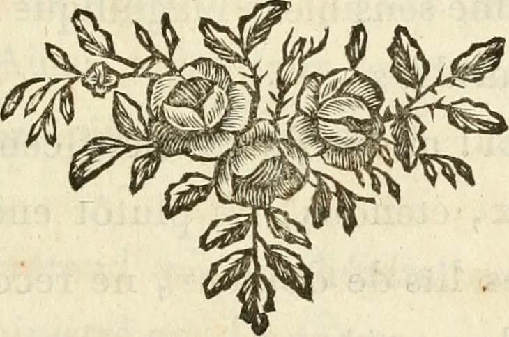An illustration from Lettres sur l'Italie en 1785, 1788, leaf 74