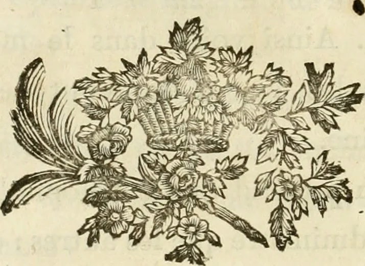 An illustration from Lettres sur l'Italie en 1785, 1788, leaf 77