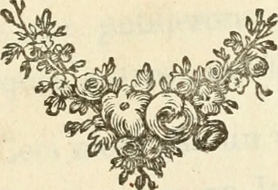 An illustration from Lettres sur l'Italie en 1785, 1788, leaf 8