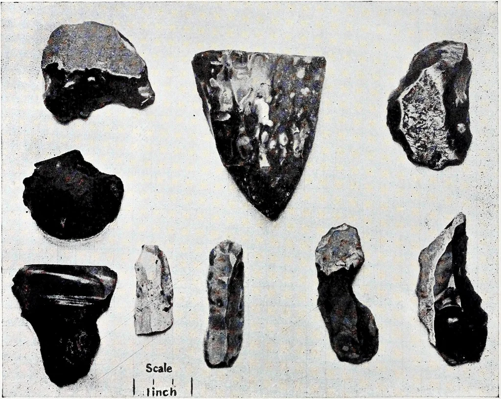 An illustration from Surrey archaeological collections, relating to the history and antiquities of the county, 1906, leaf 99