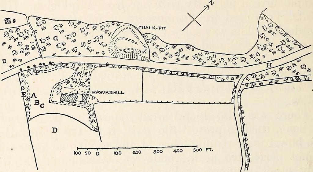 An illustration from Surrey archaeological collections, relating to the history and antiquities of the county, 1907, leaf 249