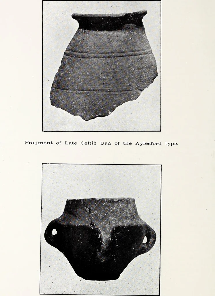 An illustration from Surrey archaeological collections, relating to the history and antiquities of the county, 1907, leaf 369