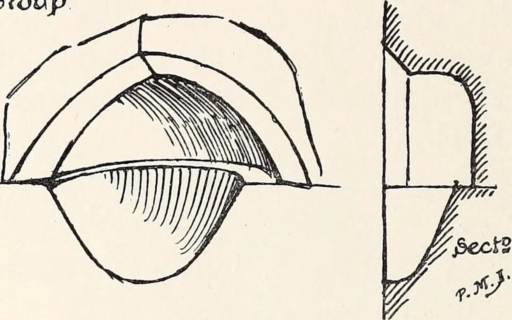 An illustration from Surrey archaeological collections, relating to the history and antiquities of the county, 1908, leaf 159