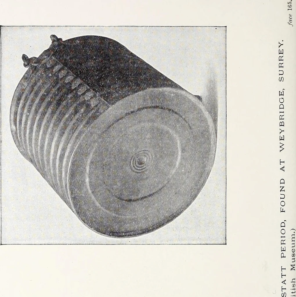 An illustration from Surrey archaeological collections, relating to the history and antiquities of the county, 1908, leaf 241
