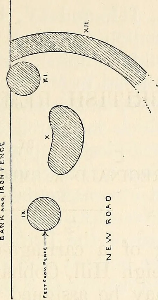 An illustration from Surrey archaeological collections, relating to the history and antiquities of the county, 1908, leaf 271