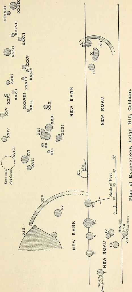 An illustration from Surrey archaeological collections, relating to the history and antiquities of the county, 1909, leaf 202