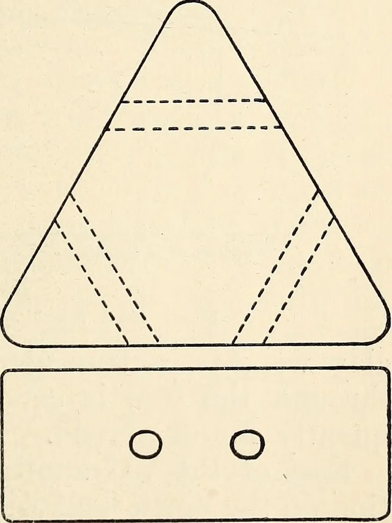An illustration from Surrey archaeological collections, relating to the history and antiquities of the county, 1909, leaf 206