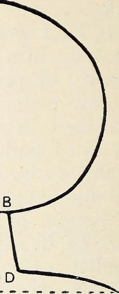 An illustration from Surrey archaeological collections, relating to the history and antiquities of the county, 1909, leaf 209