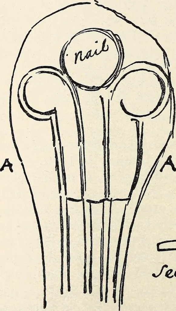 An illustration from Surrey archaeological collections, relating to the history and antiquities of the county, 1909, leaf 271