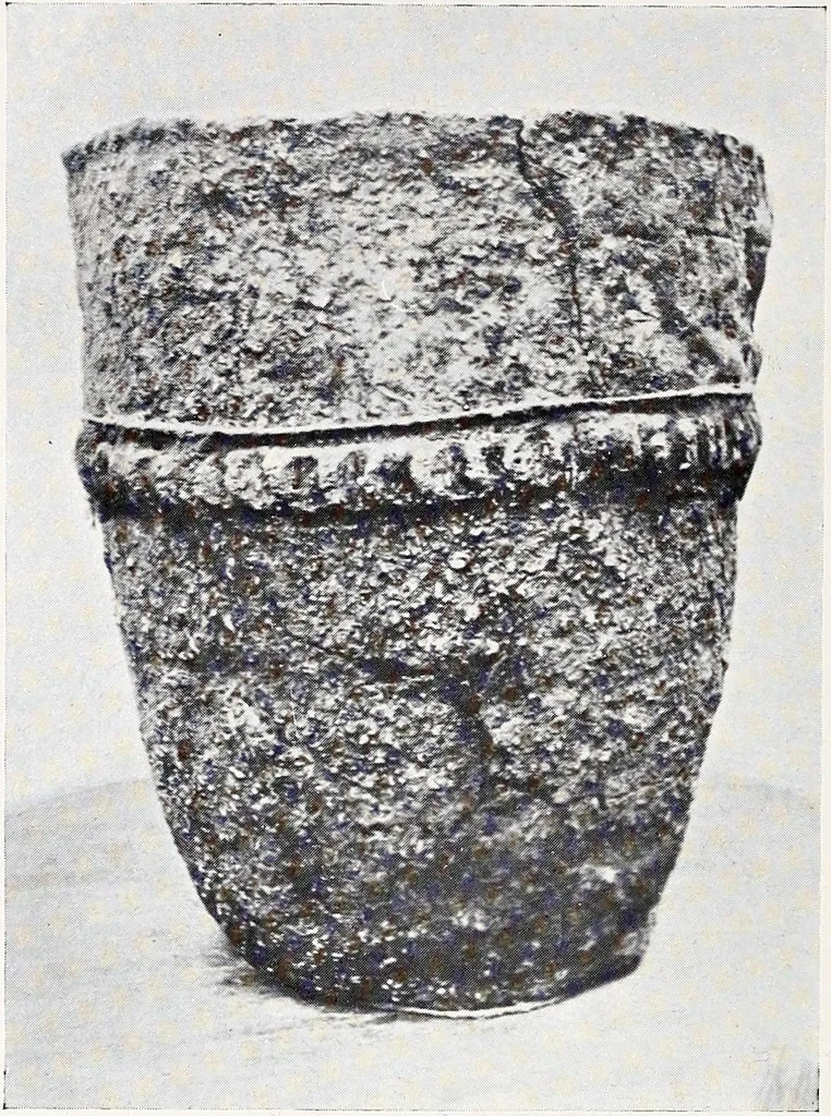 An illustration from Surrey archaeological collections, relating to the history and antiquities of the county, 1911, leaf 111