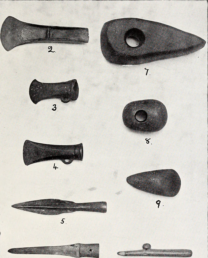 An illustration from Surrey archaeological collections, relating to the history and antiquities of the county, 1911, leaf 114