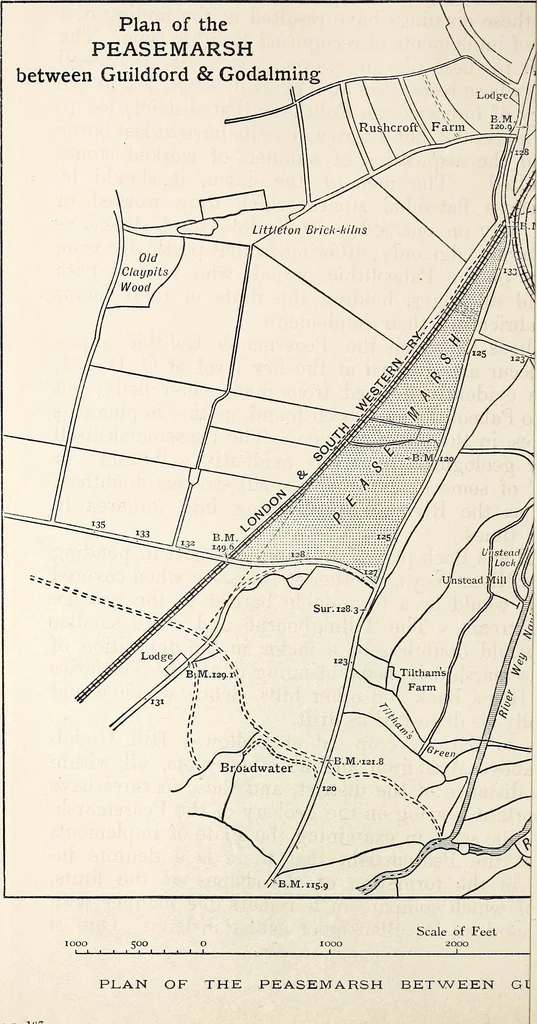 An illustration from Surrey archaeological collections, relating to the history and antiquities of the county, 1911, leaf 265