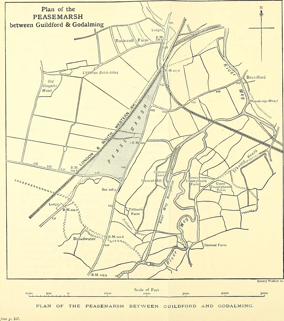 An illustration from Surrey archaeological collections, relating to the history and antiquities of the county, 1911, leaf 267