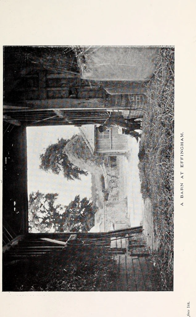 An illustration from Surrey archaeological collections, relating to the history and antiquities of the county, 1912, leaf 208