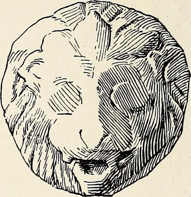 An illustration from Surrey archaeological collections, relating to the history and antiquities of the county, 1915, leaf 97