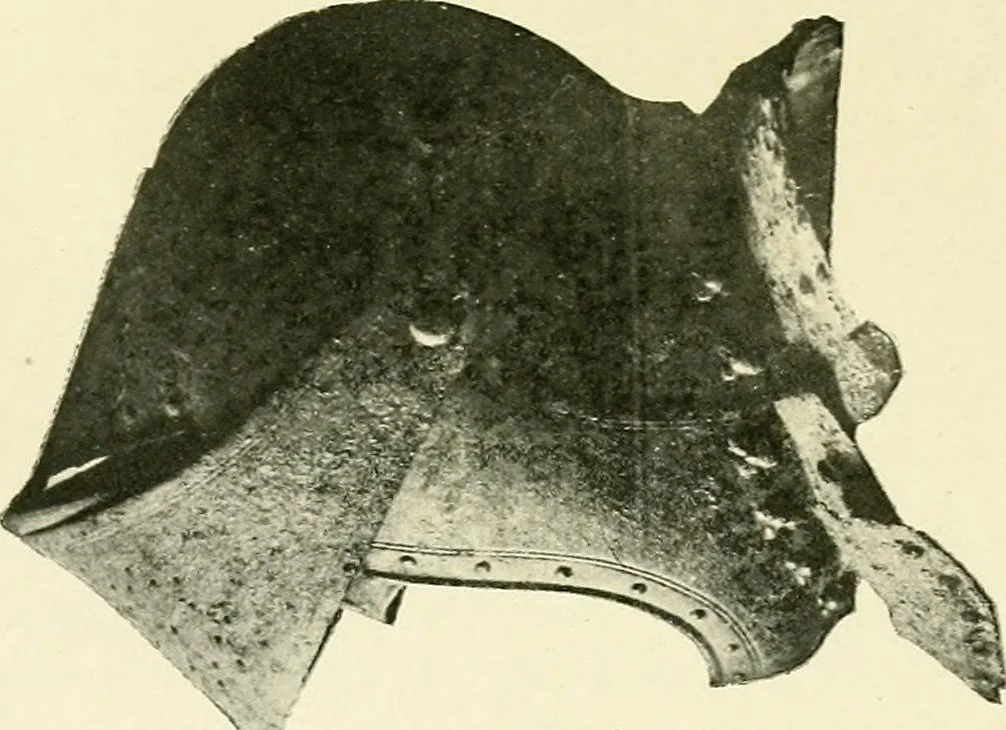 An illustration from Surrey archaeological collections, relating to the history and antiquities of the county, 1854, leaf 201