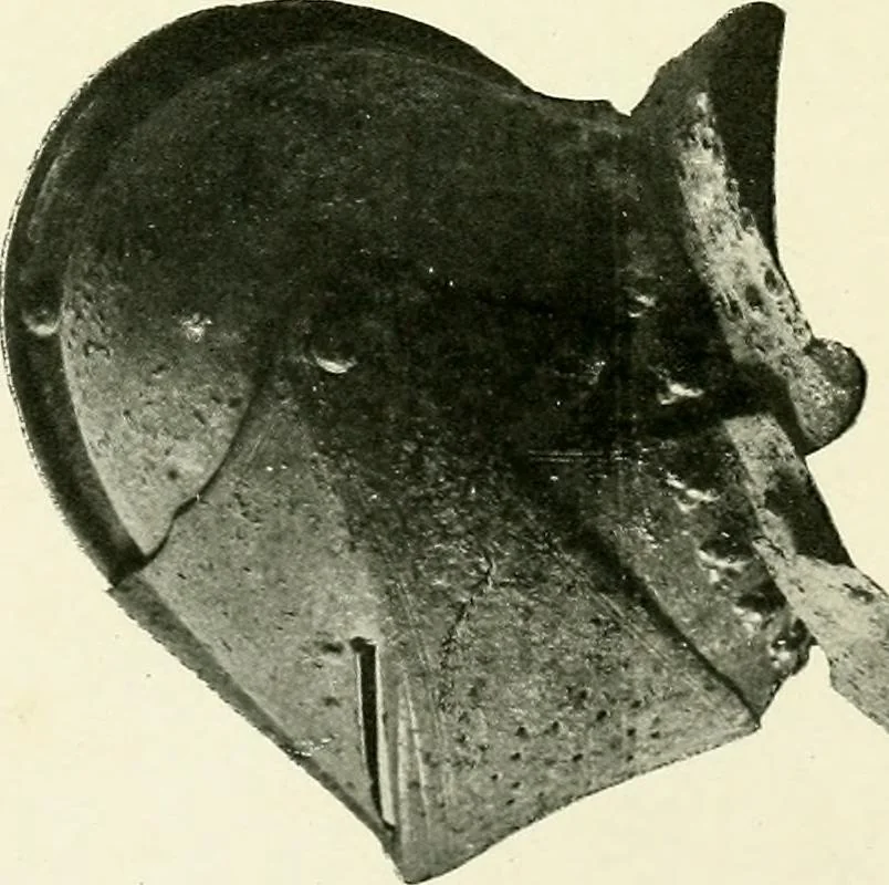 An illustration from Surrey archaeological collections, relating to the history and antiquities of the county, 1854, leaf 201