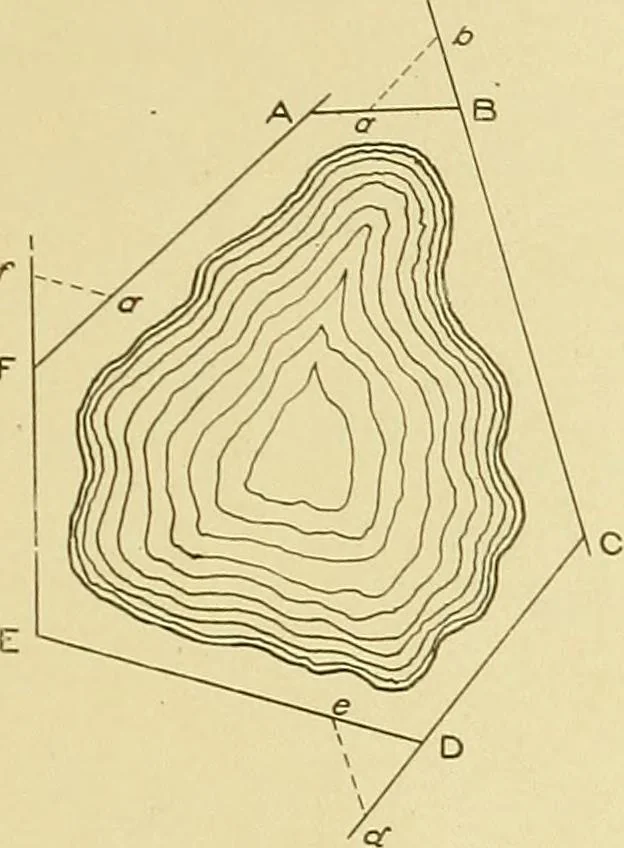 An illustration from Surveying ; a manual of practical instruction in the art of plane surveying, including plotting, leveling, triangulation, line running, cross-sectioning, traversing, and other details of field work, 1910, leaf 32
