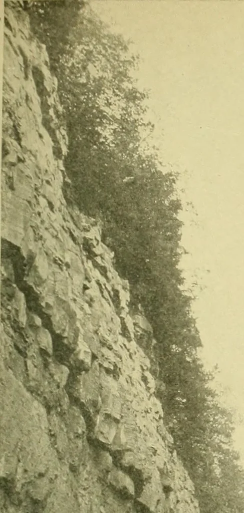 An illustration from Surveying ; a manual of practical instruction in the art of plane surveying, including plotting, leveling, triangulation, line running, cross-sectioning, traversing, and other details of field work, 1910, leaf 44