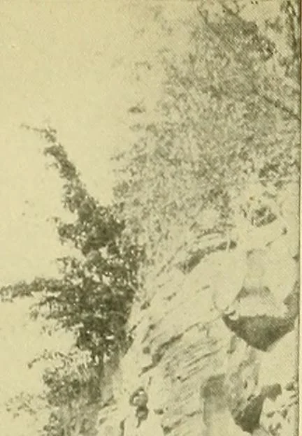 An illustration from Surveying ; a manual of practical instruction in the art of plane surveying, including plotting, leveling, triangulation, line running, cross-sectioning, traversing, and other details of field work, 1910, leaf 44