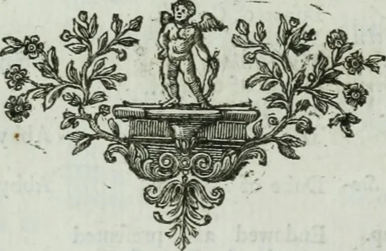 An illustration from A survey of the cathedrals of York, Durham, Carlisle, Chester, Man, Litchfield, Hereford, Worcester, Gloucester, Bristol, Lincoln, Ely, Oxford, Peterborough, Canterbury, Rochester, London, Winchester, Chichester, Norwich, Salisbury, Wells, Exeter, St. Davids, Landaff, Bangor, and St. Asaph : containing an history of their foundations, builders, antient monuments, and inscriptions, endowments, alienations, sales of lands, patronages ... : with an exact account of all the churches and chapels in each diocese, distinguished under their proper archdeaconries and deanries, to what saints dedicated, who patrons of them, and to what religious houses appropriated : the whole extracted from numerous collections out of the registers of every particular see ... : and illustrated with thirty-two curious draughts ... : in three volumes, 1742, leaf 351