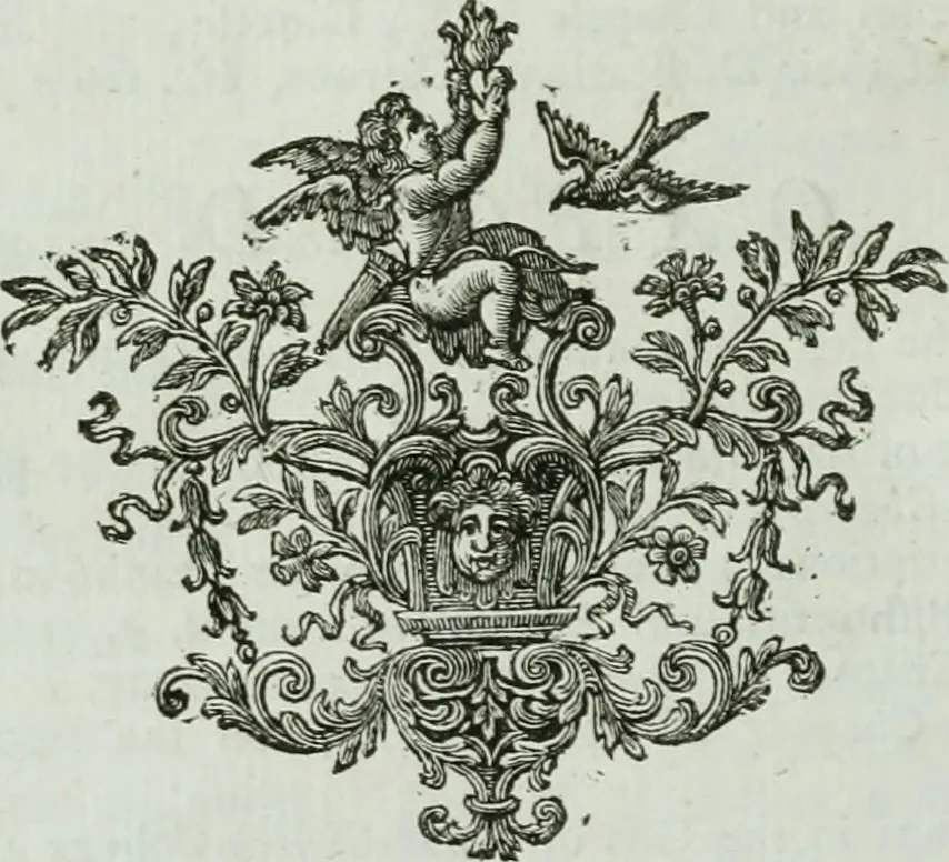 An illustration from A survey of the cathedrals of York, Durham, Carlisle, Chester, Man, Litchfield, Hereford, Worcester, Gloucester, Bristol, Lincoln, Ely, Oxford, Peterborough, Canterbury, Rochester, London, Winchester, Chichester, Norwich, Salisbury, Wells, Exeter, St. Davids, Landaff, Bangor, and St. Asaph : containing an history of their foundations, builders, antient monuments, and inscriptions, endowments, alienations, sales of lands, patronages ... : with an exact account of all the churches and chapels in each diocese, distinguished under their proper archdeaconries and deanries, to what saints dedicated, who patrons of them, and to what religious houses appropriated : the whole extracted from numerous collections out of the registers of every particular see ... : and illustrated with thirty-two curious draughts ... : in three volumes, 1742, leaf 251