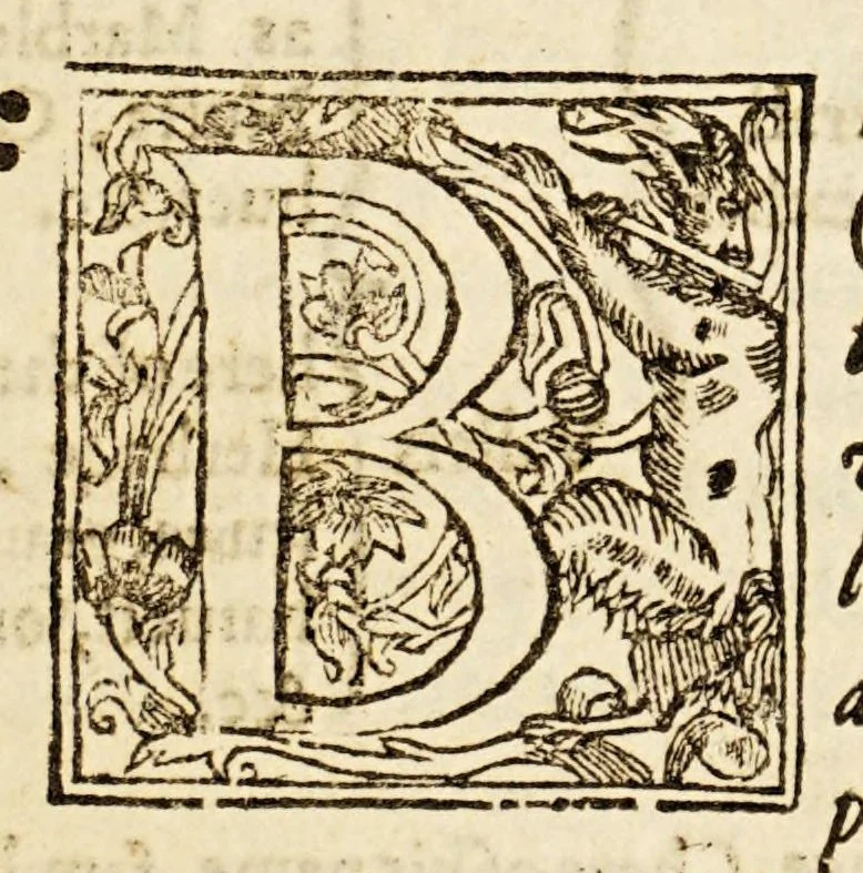 An illustration from A survey of the great dukes state of Tuscany. : In the yeare of our Lord 1596, 1605, leaf 9