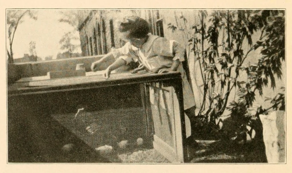 An illustration from Survey of the kindergartens of Richmond, Indiana, 1917, leaf 54