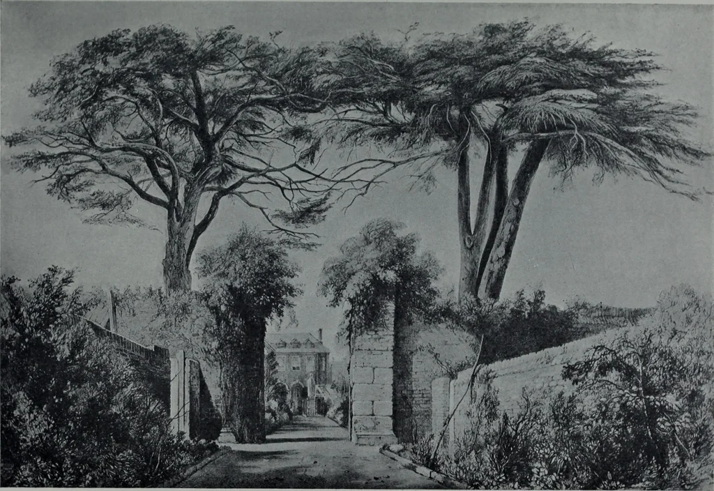 An illustration from Survey of London, 1900, leaf 152