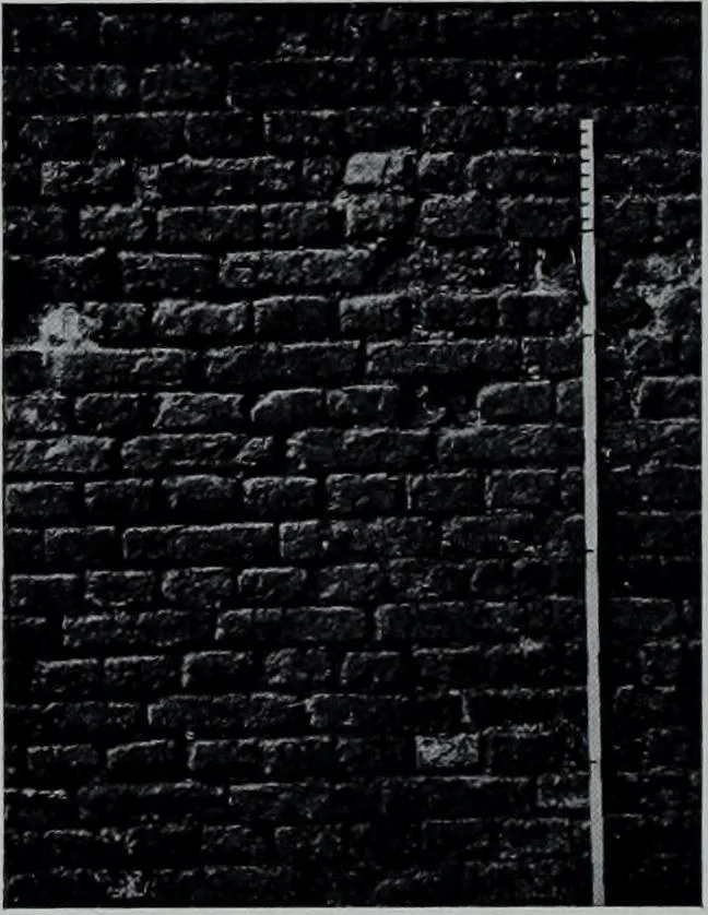 An illustration from Survey of London, 1900, leaf 99