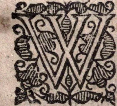 An illustration from A survey of the summe of church-discipline. Wherein the way of the churches of New-England is warranted out of the Word, and all exceptions of weight, which are made against it, answered: Whereby also it will appear to the judicious reader, that something more must be said, then yet hath been, before their principles can be shaken, or they should be unsetled in their practice, 1648, leaf 228
