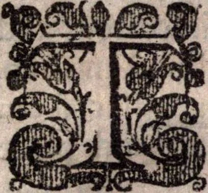 An illustration from A survey of the summe of church-discipline. Wherein the way of the churches of New-England is warranted out of the Word, and all exceptions of weight, which are made against it, answered: Whereby also it will appear to the judicious reader, that something more must be said, then yet hath been, before their principles can be shaken, or they should be unsetled in their practice, 1648, leaf 28