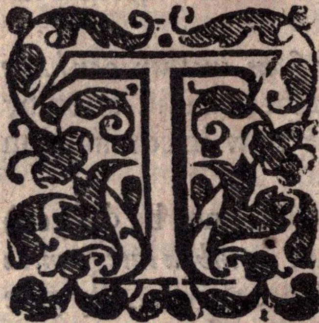 An illustration from A survey of the summe of church-discipline. Wherein the way of the churches of New-England is warranted out of the Word, and all exceptions of weight, which are made against it, answered: Whereby also it will appear to the judicious reader, that something more must be said, then yet hath been, before their principles can be shaken, or they should be unsetled in their practice, 1648, leaf 287