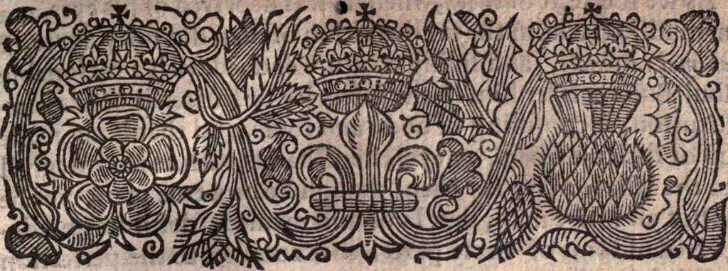 An illustration from A survey of the summe of church-discipline. Wherein the way of the churches of New-England is warranted out of the Word, and all exceptions of weight, which are made against it, answered: Whereby also it will appear to the judicious reader, that something more must be said, then yet hath been, before their principles can be shaken, or they should be unsetled in their practice, 1648, leaf 296