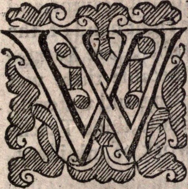 An illustration from A survey of the summe of church-discipline. Wherein the way of the churches of New-England is warranted out of the Word, and all exceptions of weight, which are made against it, answered: Whereby also it will appear to the judicious reader, that something more must be said, then yet hath been, before their principles can be shaken, or they should be unsetled in their practice, 1648, leaf 296