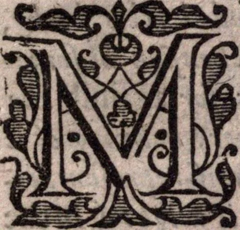 An illustration from A survey of the summe of church-discipline. Wherein the way of the churches of New-England is warranted out of the Word, and all exceptions of weight, which are made against it, answered: Whereby also it will appear to the judicious reader, that something more must be said, then yet hath been, before their principles can be shaken, or they should be unsetled in their practice, 1648, leaf 36