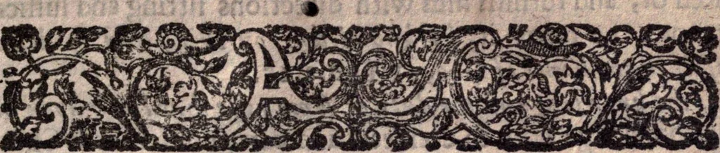 An illustration from A survey of the summe of church-discipline. Wherein the way of the churches of New-England is warranted out of the Word, and all exceptions of weight, which are made against it, answered: Whereby also it will appear to the judicious reader, that something more must be said, then yet hath been, before their principles can be shaken, or they should be unsetled in their practice, 1648, leaf 44